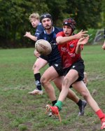 dsc_3806-3.jpg - JPEG - 386.6 ko - 2000×1325 px