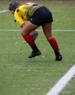 img_7118.jpg - JPEG - 233.9 ko - 1500×994 px