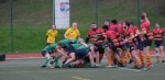 dscf1711.jpg - JPEG - 216.3 ko - 1500×726 px
