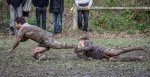 29102023-_nz85707-avec_accentuation-bruit.jpg - JPEG - 235.7 ko - 1024×520 px