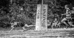 10092023-_nz82071-avec_accentuation-bruit.jpg - JPEG - 228.3 ko - 1024×529 px