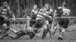 04022024-_nz87448-avec_accentuation-bruit.jpg - JPEG - 462.1 ko - 1024×562 px