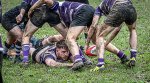 29102023-_nz84981-avec_accentuation-bruit.jpg - JPEG - 340.2 ko - 1024×562 px