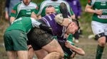 _nz80495-avec_accentuation-bruit.jpg - JPEG - 171.6 ko - 1024×569 px