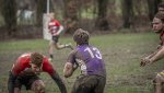 04022024-_nz88206-avec_accentuation-bruit.jpg - JPEG - 438.5 ko - 1024×574 px