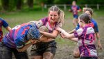 _nz83559.jpg - JPEG - 318.8 ko - 1024×584 px