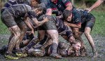 29102023-_nz85207-avec_accentuation-bruit.jpg - JPEG - 310 ko - 1024×590 px