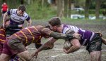 _nz81512-avec_accentuation-bruit.jpg - JPEG - 187.8 ko - 1024×592 px