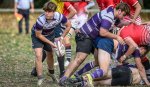 _nz86339.jpg - JPEG - 238.2 ko - 1024×591 px