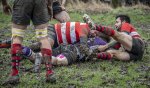 04022024-_nz88002-avec_accentuation-bruit.jpg - JPEG - 774.9 ko - 1024×596 px