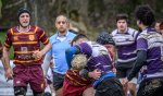 _nz81490-avec_accentuation-bruit.jpg - JPEG - 185.4 ko - 1024×594 px
