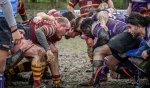 z62_9848-avec_accentuation-bruit.jpg - JPEG - 228.3 ko - 1024×597 px