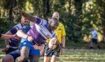 24092023-_nz83276-avec_accentuation-bruit.jpg - JPEG - 194.5 ko - 1024×605 px