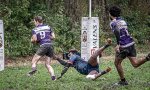 29102023-_nz85008-avec_accentuation-bruit.jpg - JPEG - 289.8 ko - 1024×609 px