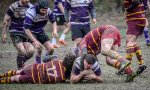 _nz81745-avec_accentuation-bruit.jpg - JPEG - 264.6 ko - 1024×613 px