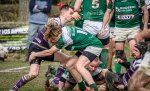 _nz80516-avec_accentuation-bruit.jpg - JPEG - 234 ko - 1024×620 px
