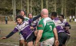 _nz80728-avec_accentuation-bruit.jpg - JPEG - 206.8 ko - 1024×617 px
