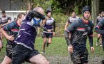 29102023-_nz85112-avec_accentuation-bruit.jpg - JPEG - 221.6 ko - 1024×623 px