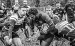 29102023-_nz85155-avec_accentuation-bruit.jpg - JPEG - 241.7 ko - 1024×625 px