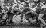 z62_9852-avec_accentuation-bruit.jpg - JPEG - 257.7 ko - 1024×634 px