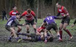 04022024-_nz87958-avec_accentuation-bruit.jpg - JPEG - 770.3 ko - 1024×641 px