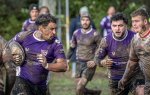 29102023-_nz85544-avec_accentuation-bruit.jpg - JPEG - 194.9 ko - 1024×648 px