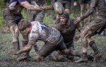 29102023-_nz85877-avec_accentuation-bruit.jpg - JPEG - 254.4 ko - 1024×647 px