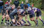 29102023-_nz84968-avec_accentuation-bruit.jpg - JPEG - 326.7 ko - 1024×653 px