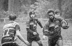29102023-_nz85060-avec_accentuation-bruit.jpg - JPEG - 275.1 ko - 1024×655 px