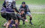 29102023-_nz85077-avec_accentuation-bruit.jpg - JPEG - 319.3 ko - 1024×655 px