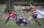 04022024-_nz87602-avec_accentuation-bruit.jpg - JPEG - 727.6 ko - 1024×661 px