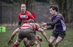 04022024-_nz88010-avec_accentuation-bruit.jpg - JPEG - 556.5 ko - 1024×660 px