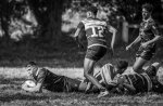 24092023-_nz82816.jpg - JPEG - 195.2 ko - 1024×664 px