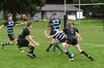 dsc_1664.jpg - JPEG - 215.4 ko - 1500×2258 px