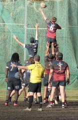 gp5f0499.jpg - JPEG - 1.5 Mo - 2000×3087 px