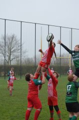 dsc_0676-2.jpg - JPEG - 675.2 ko - 2000×3020 px