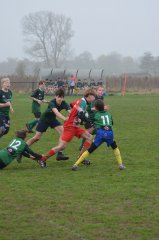 dsc_0715-3.jpg - JPEG - 608.5 ko - 2000×3020 px