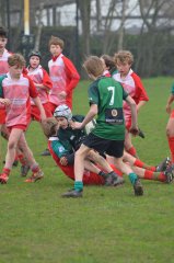 dsc_0884-8.jpg - JPEG - 702.2 ko - 2000×3020 px