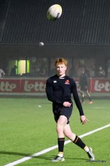 017-bj8a4291.jpg - JPEG - 571.3 ko - 2000×3005 px