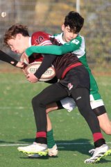 043-img_9720.jpg - JPEG - 365.2 ko - 1500×2252 px