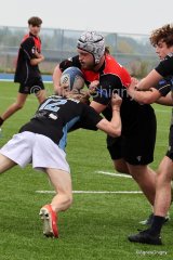 053-053-bj8a1551.jpg - JPEG - 423.2 ko - 1500×2256 px