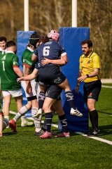 1161_jz2_5486.jpg - JPEG - 897.6 ko - 2000×3001 px