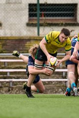 1433_jz1_6008.jpg - JPEG - 744.2 ko - 2000×3002 px