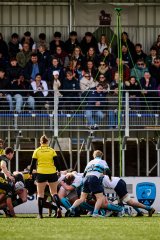 1558_jz1_6086.jpg - JPEG - 834.9 ko - 2000×3000 px