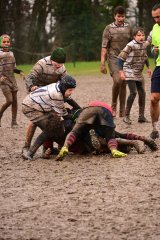 2026-03-14_121731_jpg_compressed.jpg - JPEG - 500.5 ko - 1280×1920 px