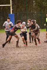 2026-03-14_121748_jpg_compressed.jpg - JPEG - 459.8 ko - 1280×1920 px