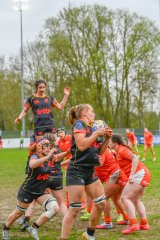 2026_belgie-nederland-0041.jpg - JPEG - 414.6 ko - 1277×1920 px