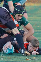 231202_u18_045_r7_08395.jpg - JPEG - 95.4 ko - 533×800 px