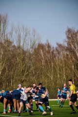 2393_jz2_1595.jpg - JPEG - 710 ko - 2000×3000 px