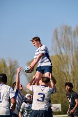 2478_jz2_4833.jpg - JPEG - 519 ko - 2000×3001 px